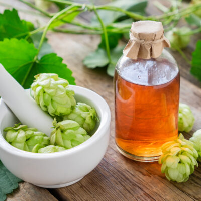 Healthy hop cones in mortar and bottle of medicinal tincture or infusion. szyszki chmielu w moździerzuu