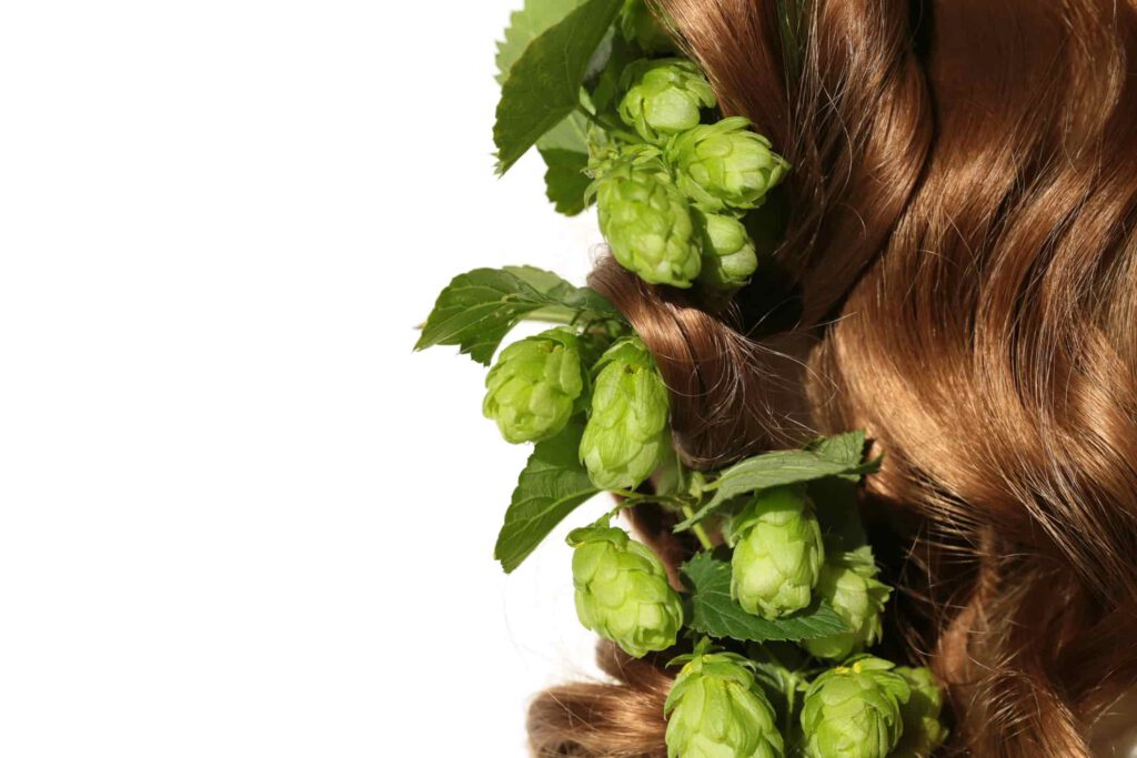 piękne długie włosy z wplątanymi szyszkami chmielu