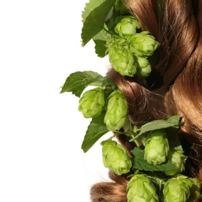 iStock-936007968-min chmiel wpleciony we włosy